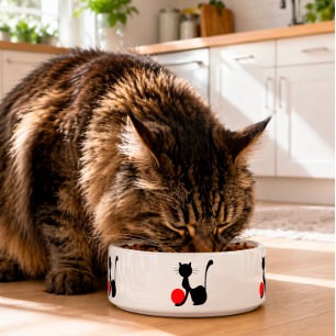 Écuelle Bol à nourriture pour chat noir Mangeoire pour ama
