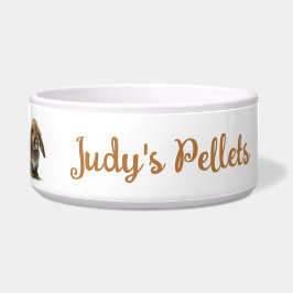 Écuelle Bol d'alimentation de lapin