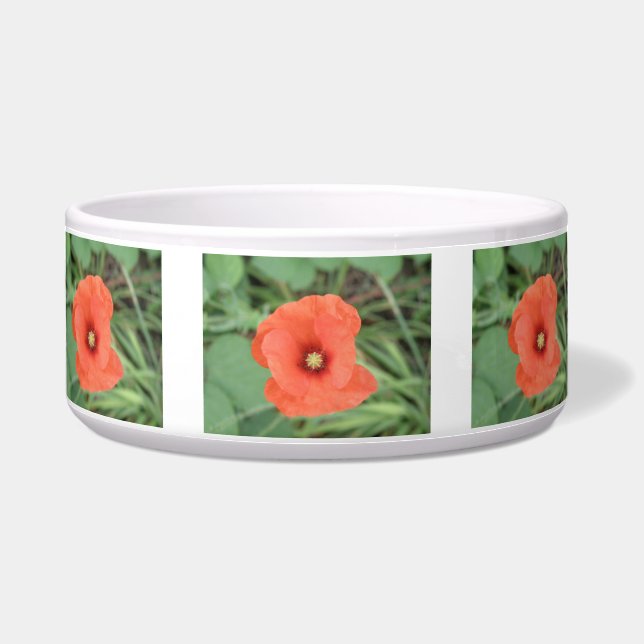 Écuelle Bol de chien à fleurs de Poppy sauvage (Devant)