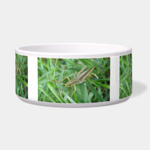 Écuelle Bol de chien de sauterelle