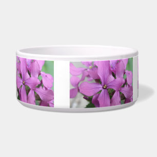 Écuelle Bol de chien Fleur sauvage pourpre