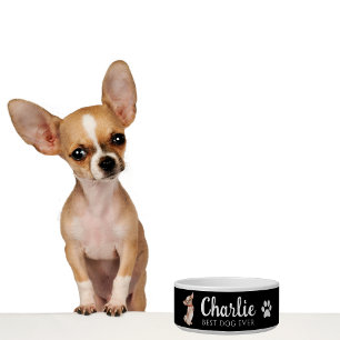Écuelle Bol de Chihuahua