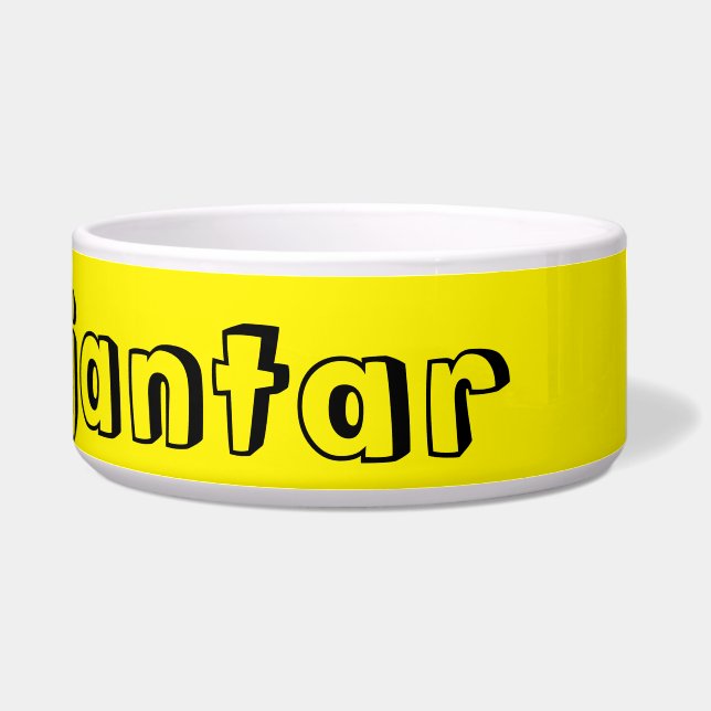 Écuelle bol de nourriture pour animaux domestiques (Droite)