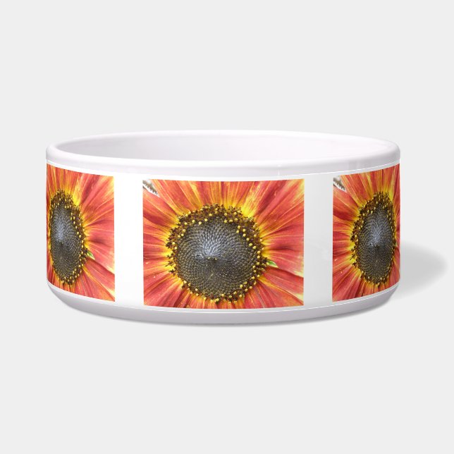Écuelle Bol de tourbières de tournesol rouge et jaune (Devant)