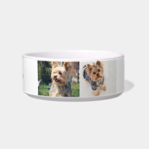 "Bol moyen pour Yorkie personnalisé de manière abs