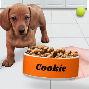 Écuelle Bol personnalisé pour chien de compagnie moderne e