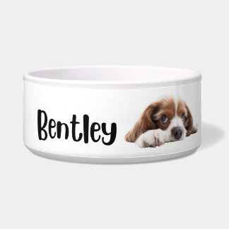 Écuelle Bol personnalisé pour chiens et chats Bentley