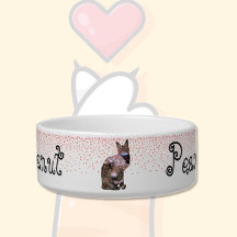 Bol pour animal de compagnie Chat Floral 2 & Cœurs