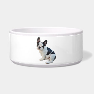 Écuelle Boston Terrier