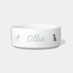 Écuelle Boule d'eau de la nourriture de chien de luxe pers