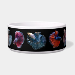 Écuelle Boules de poissons colorées