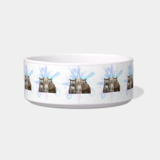 Écuelle Bowl de chat fou