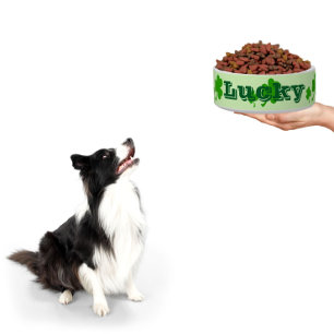 Écuelle Bowl shamrock de girofle vert irlandais