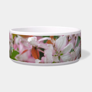 Écuelle Branche délicate avec fleurs pommier