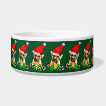 Bullmastiff Chien Noël