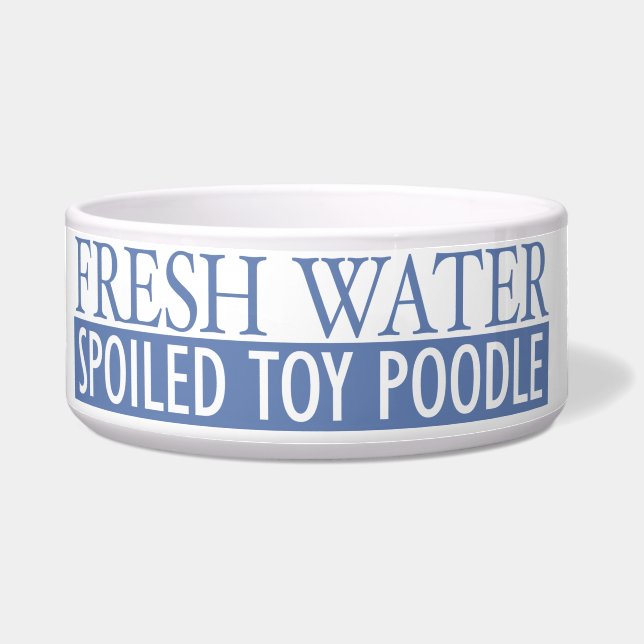 Écuelle caniche de jouet corrompu (Devant)