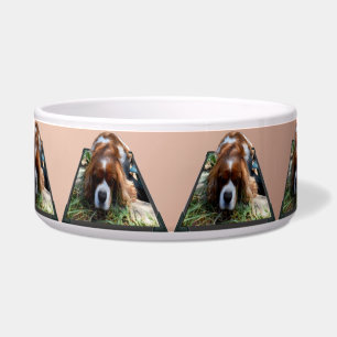 Écuelle Cavalier Spaniel Popout Art,