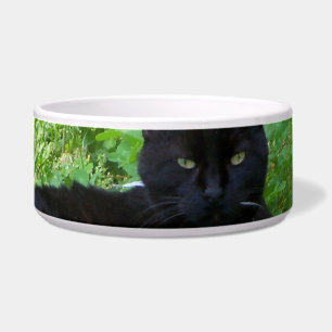 Écuelle Chat Bombay couché dans une assiette de nourriture