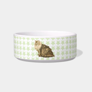 Écuelle chat forestier norvégien