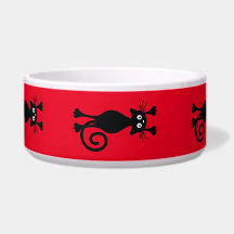 Chat noir de compagnie