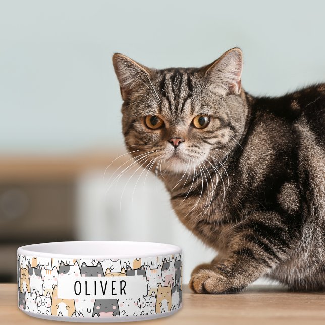 Écuelle Chats Drôles Nom Personnalisé (Easily customize this cute pet bowl with your furry loved one's name.)