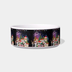 Écuelle Chats Joyeux Noël Lumière