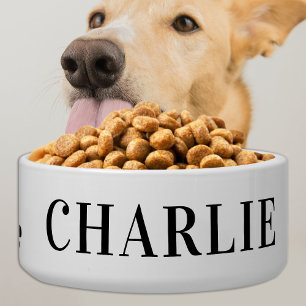 Écuelle Chien de compagnie classique Alimentation personna