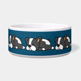 Écuelle Chien endormi