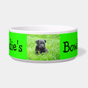 Écuelle Chien fait sur commande personnalisé de couleur de