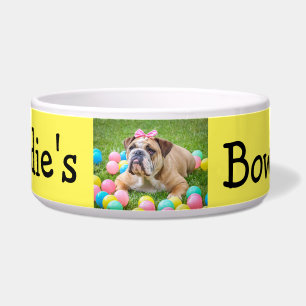Écuelle Chien fait sur commande personnalisé de couleur de