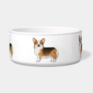 Écuelle Chiens Corgi Gallois Pembroke Tricolores à Tête Ro