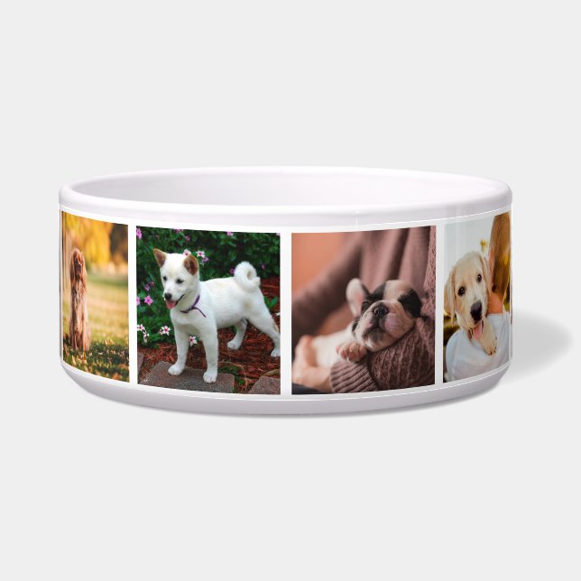Écuelle Chiens de marionnettes Instagram Photos (Devant)