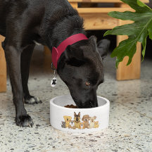 Chiens et chats JollyKins