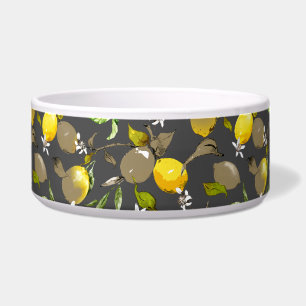 Écuelle citrons d'aquarelle 34