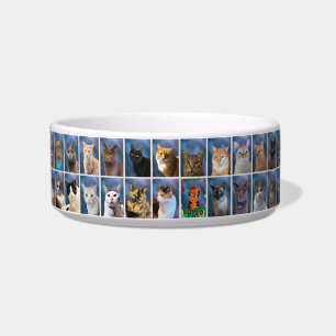 Écuelle Classe de chat de groupe ennuyeux de 2023 Pet Bowl