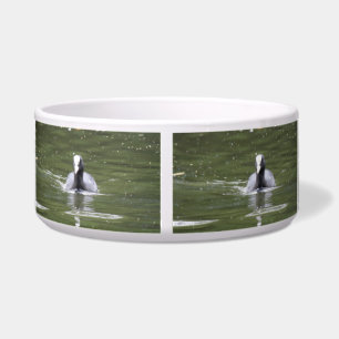 Écuelle Coot Swimming Dog Bowl