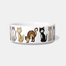 Cute Kitten Chat Bowl