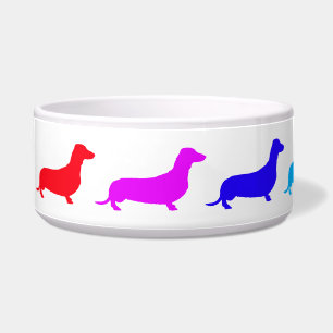 Écuelle Cuvette d'animal familier de teckel d'arc-en-ciel