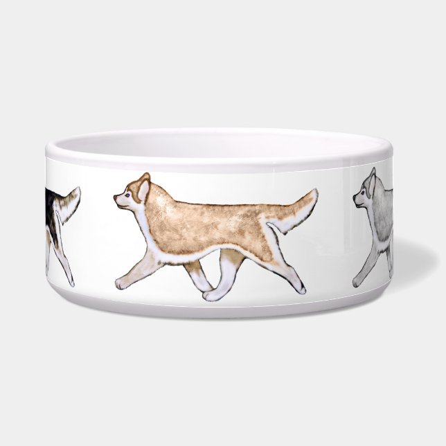 Écuelle Cuvette de chien de chien de traîneau sibérien de (Devant)
