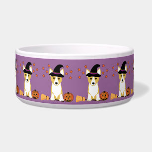 Écuelle Cuvette de chien de Halloween de sorcière de corgi