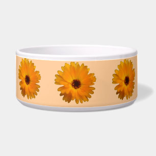 Écuelle Cuvette orange de chien de souci