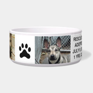 Écuelle Cuvette personnalisée de chien pour votre meilleu