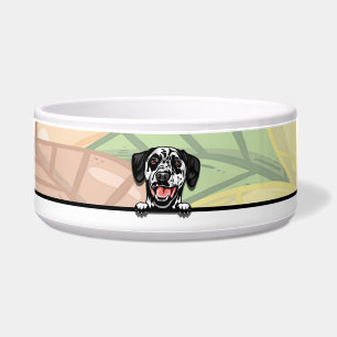 Écuelle Dalmatien mignon qui regarde, nourriture ou boisso