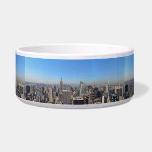 Écuelle Destinée De L'État De New York City Skyscrapers