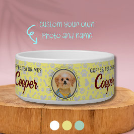 Écuelle Disque unique en céramique pour animaux de compagn