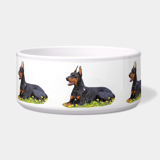 Écuelle Doberman Pinscher (Devant)