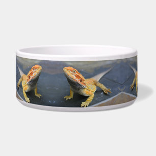 Écuelle Dragon Ceramic Pet Bowl, Tigre Arc-en-ciel