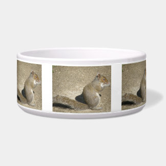 Écuelle Écureuil faim Horatio Chien Bowl