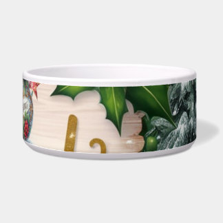 Écuelle en céramique pour animaux