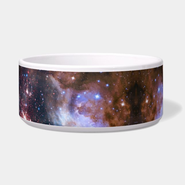 Écuelle Espace/galaxie bol pour animaux (Droite)